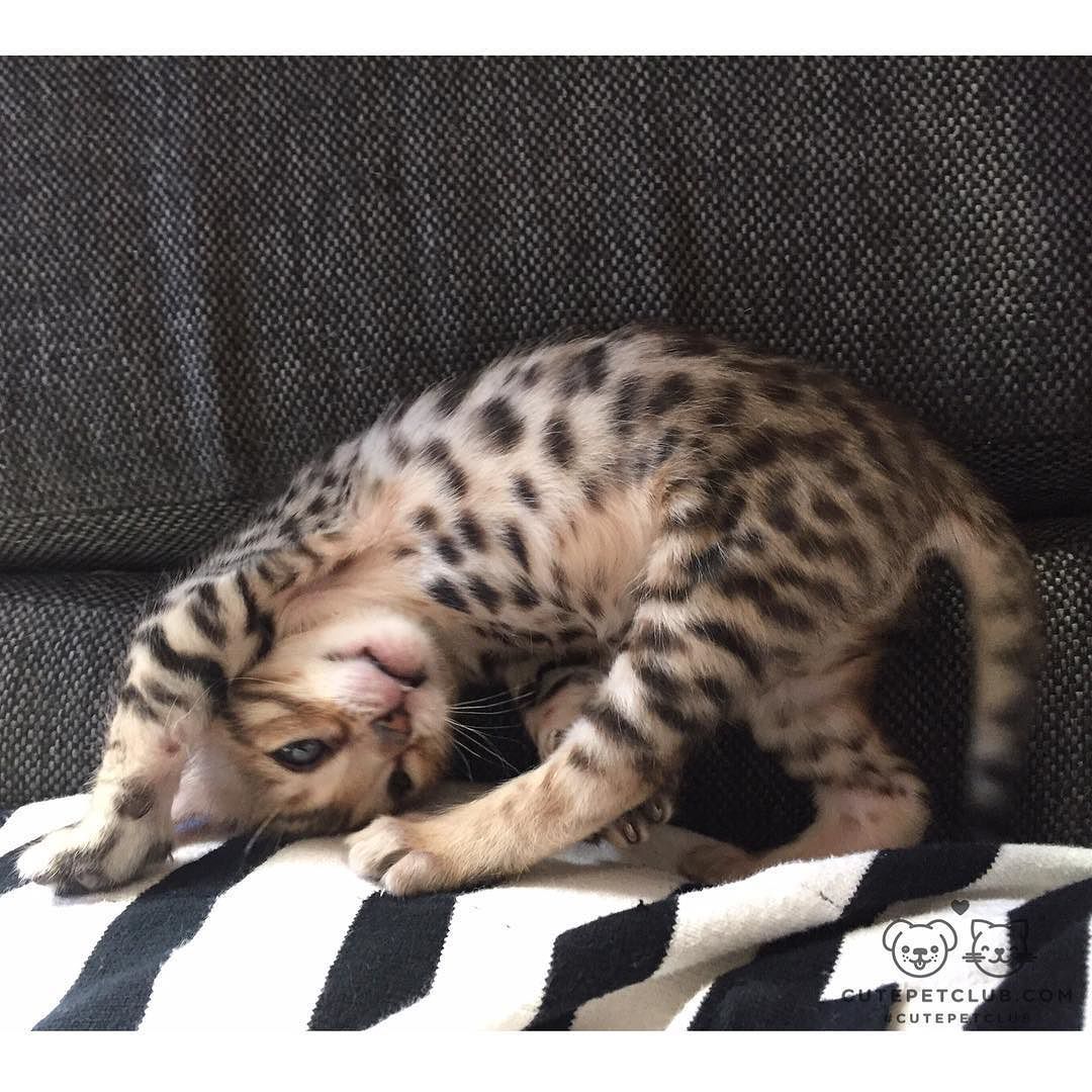 I&rsquo;m not sure about this yoga stuff&hellip;