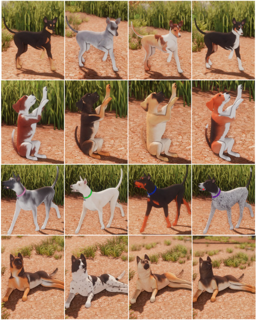 Hey everyone! Today I&rsquo;m sharing my dog decos with you! This pack contains 10 dogs with 4 swatc