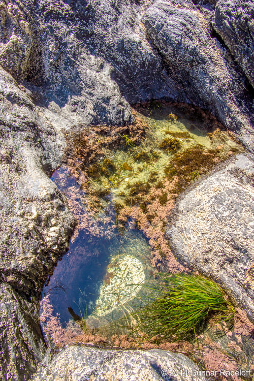 7.7.2014 - day 5 on the West Coast Trail - the last bit of trail at the water if absolutely stunning