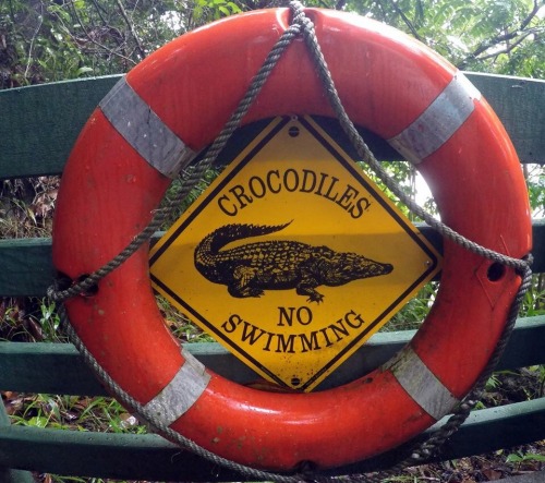 backpackfullofsunshine: Daintree River, Australia