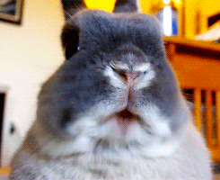 the-absolute-best-posts:  This post has been featured on a 1000notes.com blog.