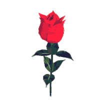 bleed-thru:  corny rose gifs. I wonder if people actually think these are romantic?