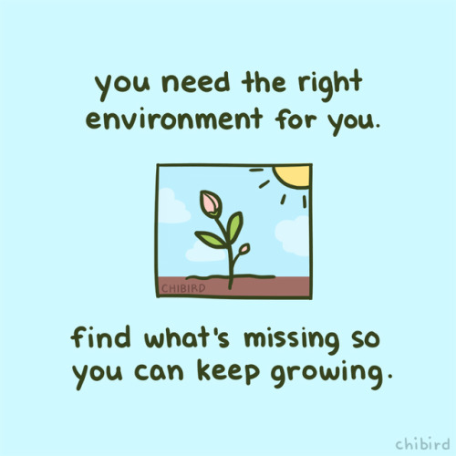 chibird: We can’t reach our full potential if we’re stuck in an environment that doesn&r