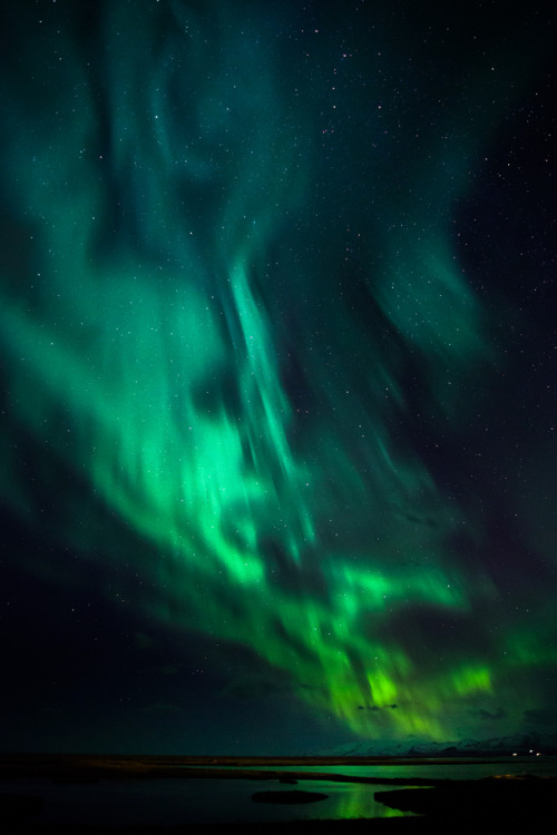 drxgonfly:Northern Lights (2) (by greenzowie)