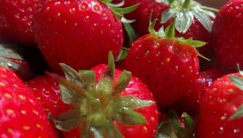 fraises