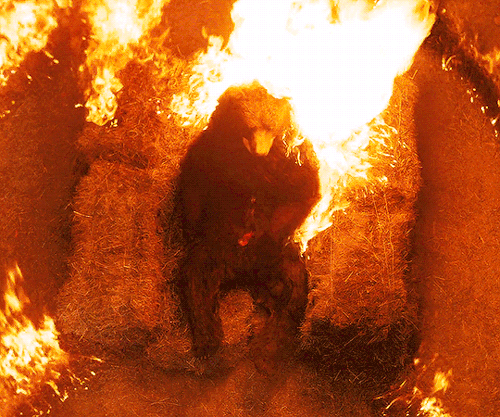 downey-junior:As Hårga takes, so Hårga also gives. Thus, for every newblood sacrificed, we will dedi