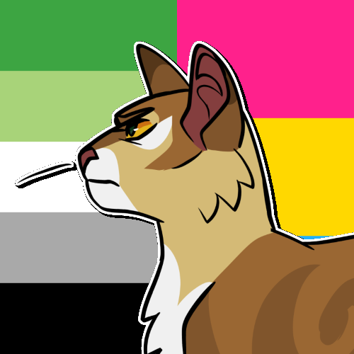 Aromantic Cat Icons for Anon