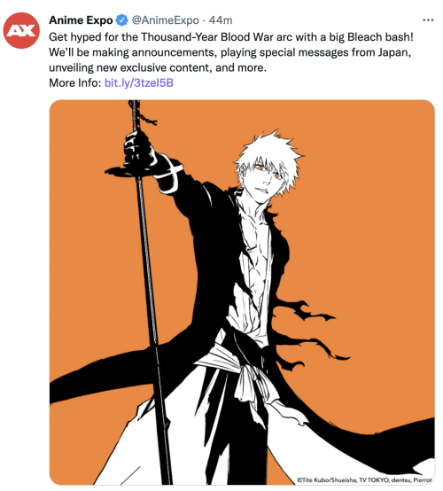 Bleach Thousand Year Blood War Panel at Anime Expo feat. Michelle Ruff (Rukia), Dan Woren (Byakuya) 