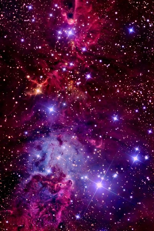 The Christmas Tree Cluster, Fox Fur Nebula and Cone Nebula in the constellation Monoceros