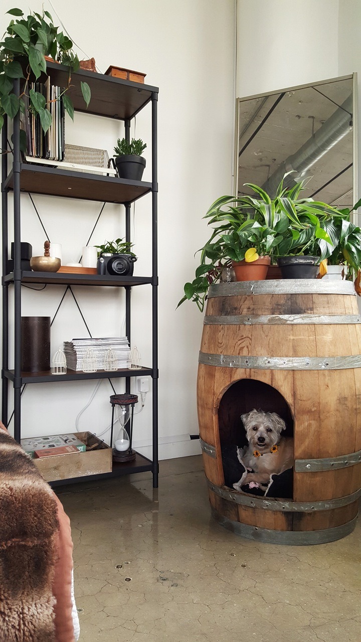 gravityhome:  Sunny industrial LA loft - floorplan   gravityhomeblog.com - instagram