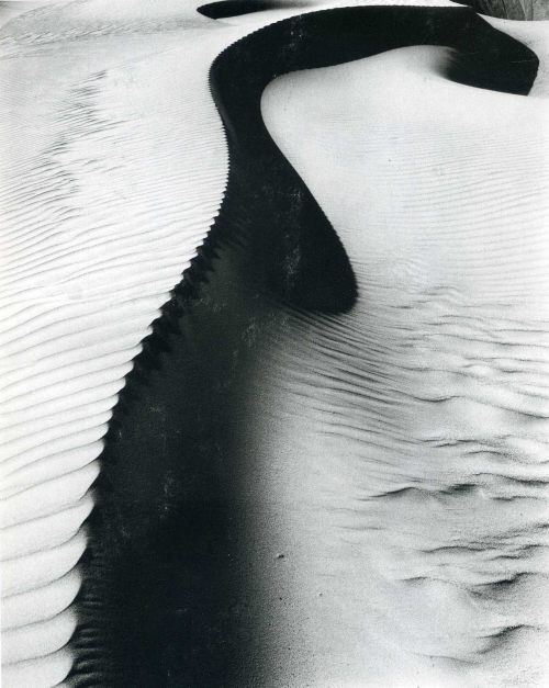 zegalba:Brett Weston: Dune, Oceano (1934)