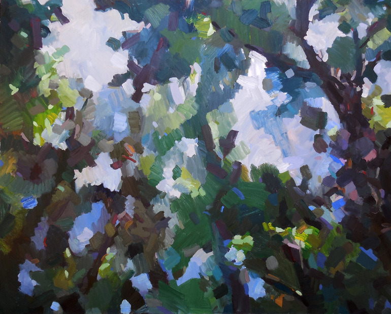 desert-dreamer:  julie devine