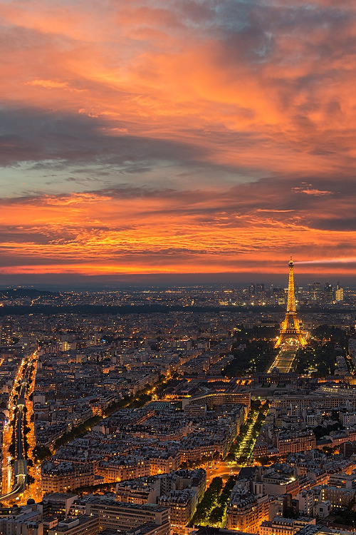 livingpursuit:  The City of Lights | Photographer