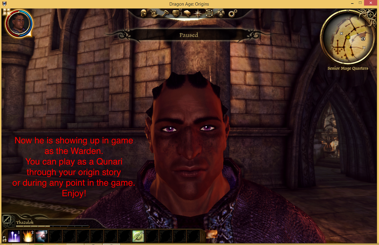 dragon age origins qunari dragon age origins qunari