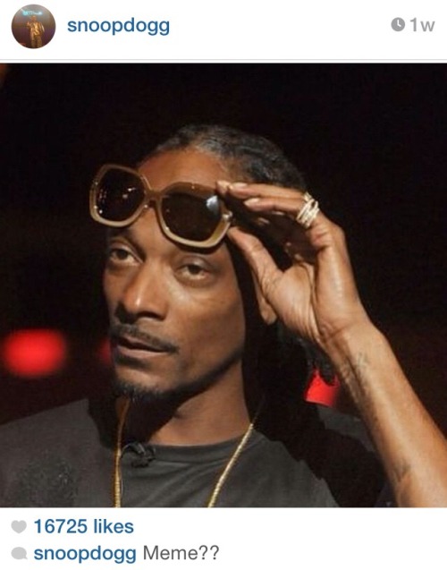 foxmulder:starshipspirk:  anustartpop:  snoop dog trying to become a meme has become a meme  Another pic for meme?