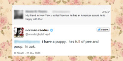 the best of Norman’s twitter replies (◕‿◕✿)