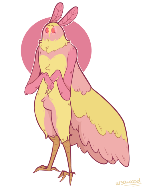 Southern Flannel + Rosy Maplemothmen
