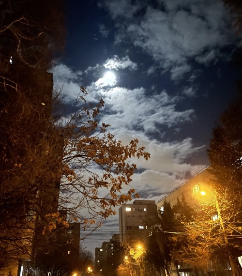The Dark (k)night