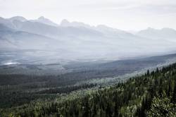 brantyorkphotography:  Hiking is always the answer. Unless you have a knee injury.  (at Golden British Columbia) 