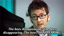 castieltheflyingassbutt:  Moffat take notes, this is how you do foreshadowing 