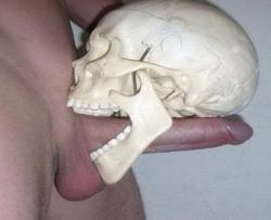 corbeauxtube:  Skull fuckery.     