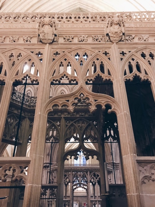 travels-ofadreamer:Inside Wells Cathedral ⛪️