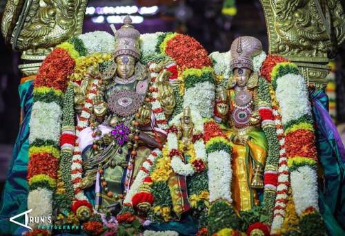 Meenakshi Sundareswara temple decoration during a festival