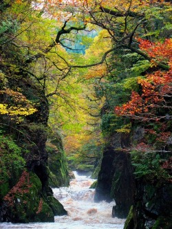 bluepueblo:  The Fairy Glen Gorge, Conwy