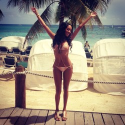 Flydef:  Mercedeh Allen 