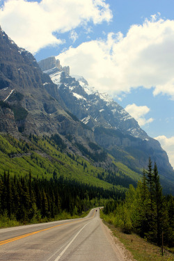 rustically:  JASPER NATIONAL PARK, ALBERTA,