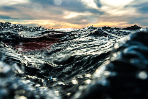 Surf @ Windansea (di Laurent_Imagery)