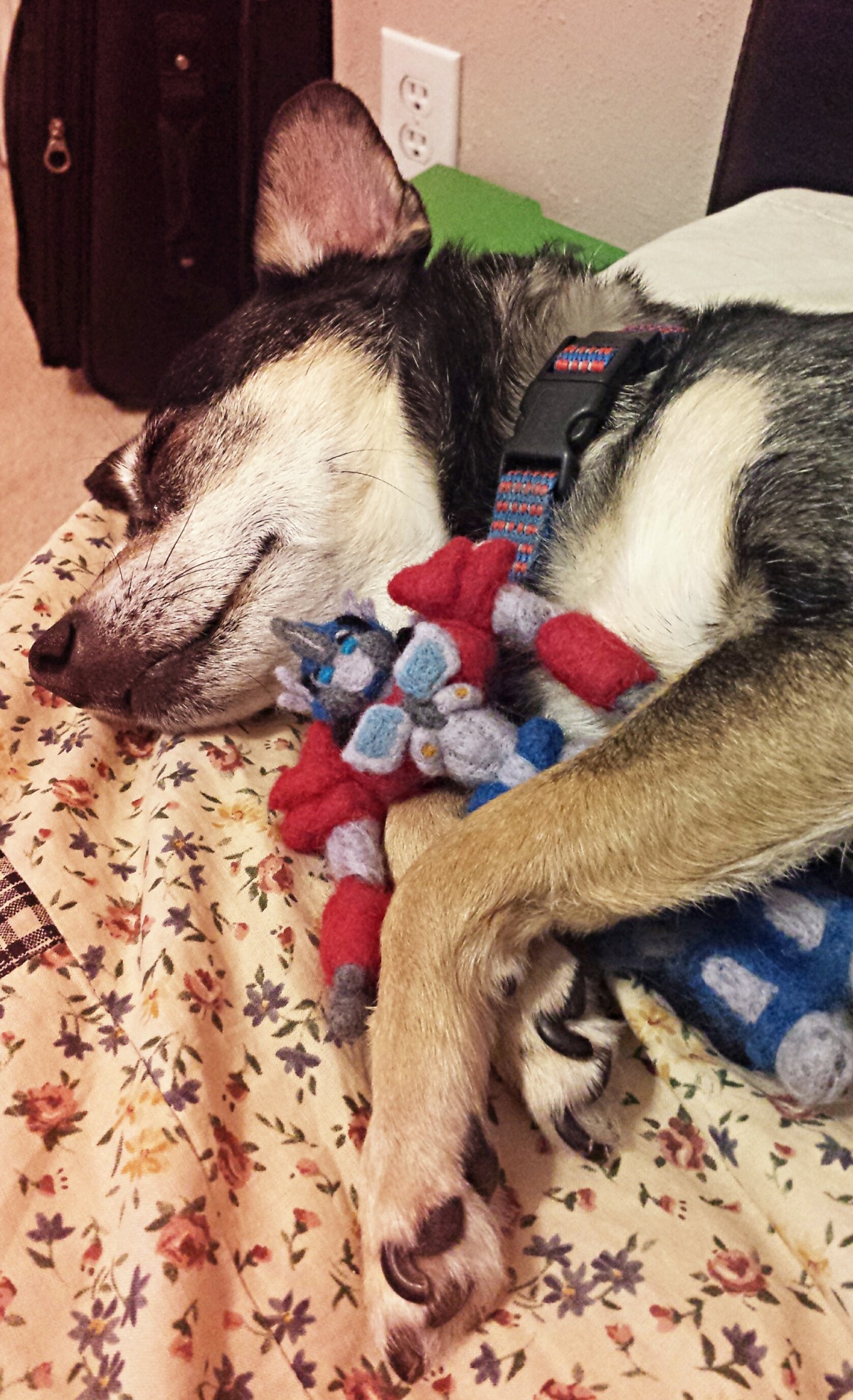 airi-avaruus:I put Optimus next to her and eventually she moved him closer and fell