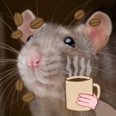 rat-with-coffee avatar