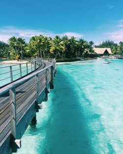 thingssthatmakemewet:  mossyoakmaster:  Omgg 😍😍 babeee, can we please go somewhere like this??!   Uhmm yes please!! You know I’m down 😍😘  This would literally be a dream come true and I’d love to visit a tropical isle with you! 😍😘😘