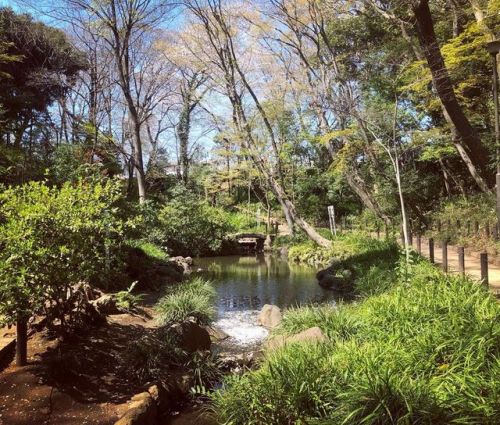 ＼おにわさん更新情報／ ‪[ 東京都新宿区 ] おとめ山公園（旧相馬子爵邸庭園） Otomeyama Park, Shinjuku-ku, Tokyo の写真・記事を更新しました。 ――大正時代に相馬