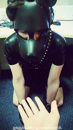 puppixel:  gayboykink:  gagyouwithyourownsock:  Puppy boy.  Tricks ~ Paw.  This is literally just too adorable for me to handle. Pup’s wiggly ears as he tilts his head… His satisfied look in the eyes as he gets scratched. Oh god, the feels. <3