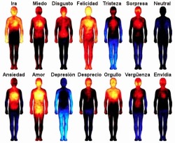 akashiclibrary:  Mapa térmico de reacciones emocionales… (Si, es spiderman)