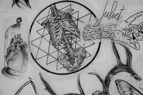 snovvdon:  Hannah Snowdon (x) 