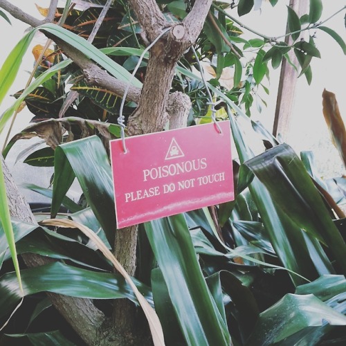 poisonous