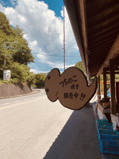 vicholas:Tsuchinoko Museum in Higashishirakawa, Japan