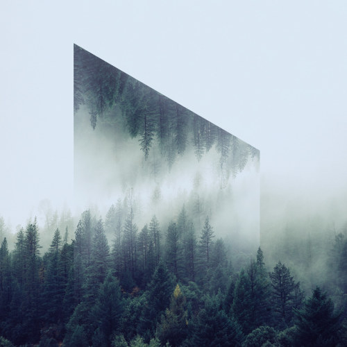 XXX jedavu:  Reflected Landscapes and Photo Manipulations photo