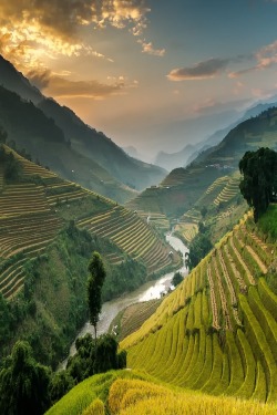 sublim-ature:  Mù Cang Chải, VietnamNutthavood Punpeng 