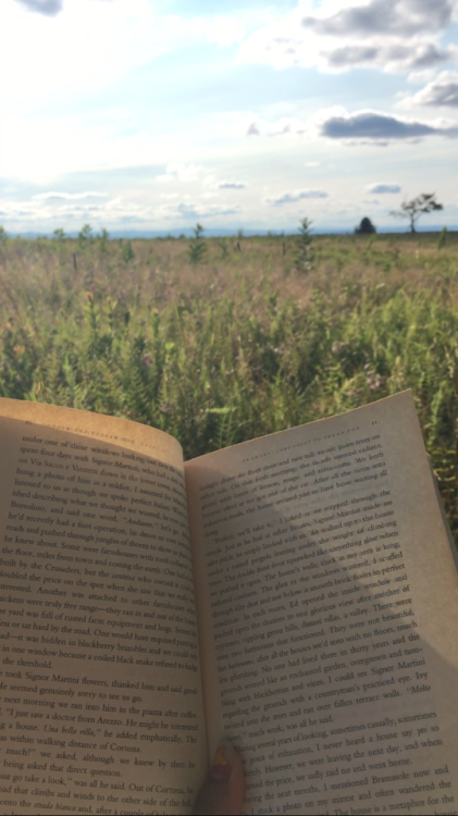 Moving back to uni tomorrow… here’s a “farewell to summer” post from my trip to Shenandoah National 