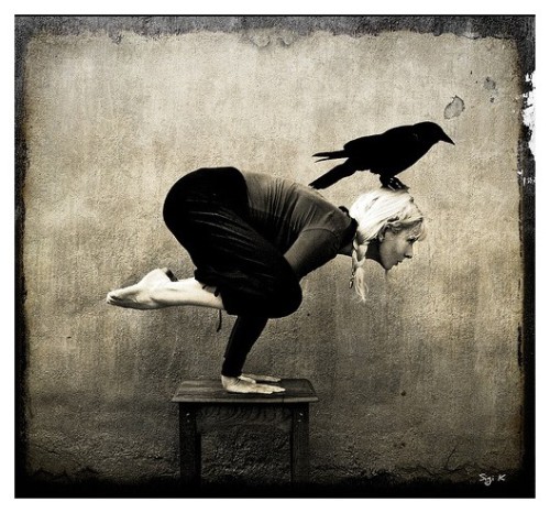 a happy crow 4 u and an awesome picture!
