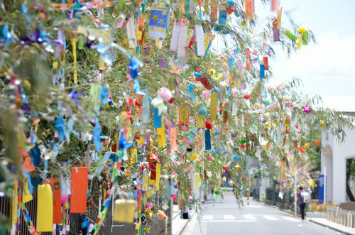 福井高校七夕フェス2019