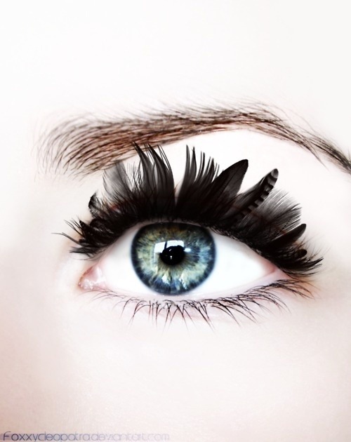 feather lashes adult photos