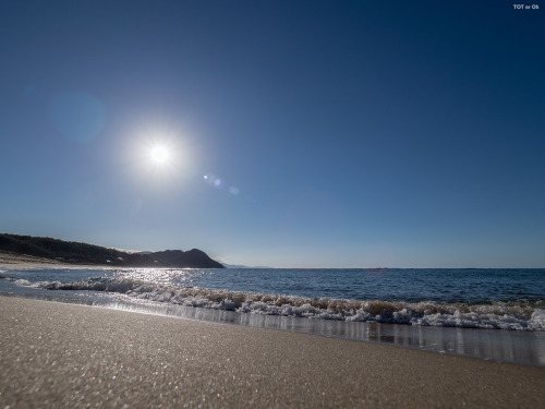 海とかウシとかねことか見たくなったので。ほんの少し、旅に出ました。暑かったです。I wanted to see the ocean, cows, and cats, so I went on a li