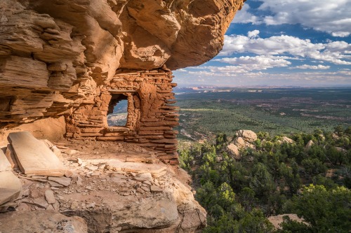 Bears Ears National Monument in Utah is a vital landscape to many Tribal Nations. Filled with thousa