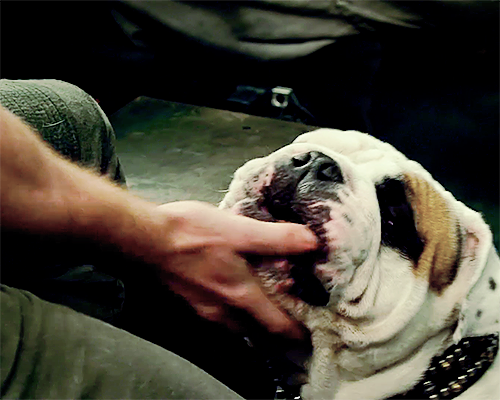Chuck Gazing Adoringly At His True Love.