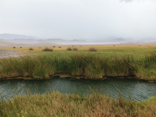 Hot springs in the middle of the desert. Rainy day in Tacopa, California.Sharon Patterson Monge